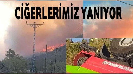 Cierlerimiz yanyor