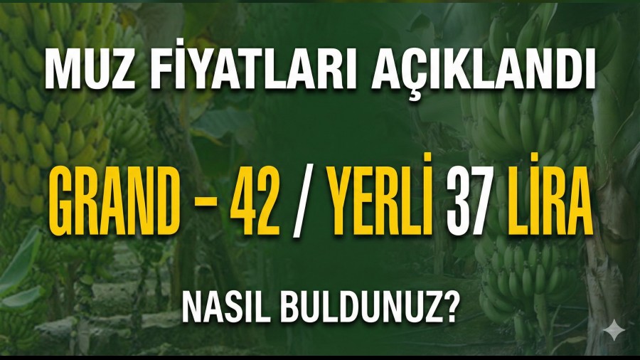 Bug�n�n Muz Fiyatlar� A��kland�