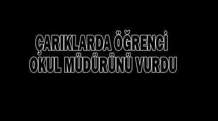 ��renci Okul M�d�r�n� Vurdu