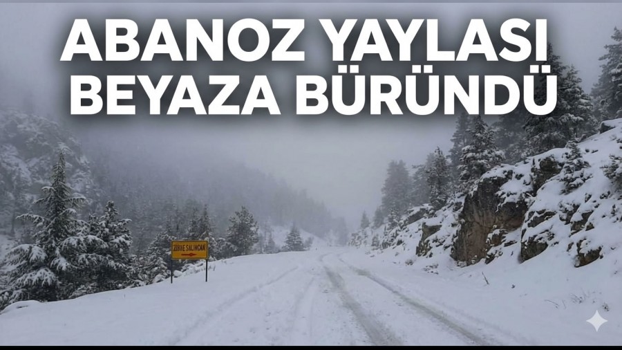 Abanoz Yaylas� Beyaza B�r�nd�