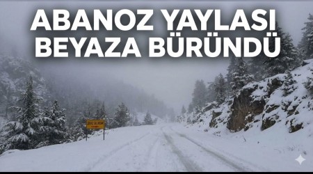 Abanoz Yaylas� Beyaza B�r�nd�