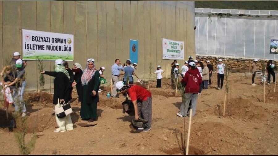 Tekmene 2.500 adet fidan dikildi