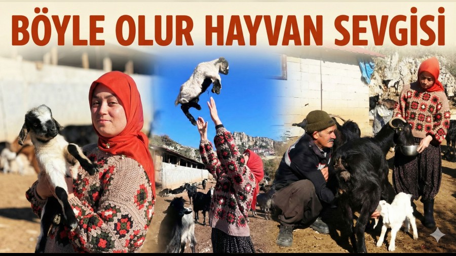 B�yle Olur Hayvan Sevgisi