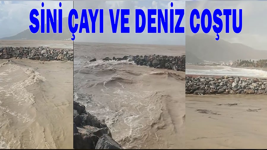 Sini �ay� ve Deniz Co�tu!