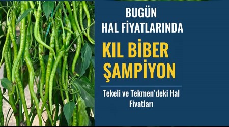 Bug�n Hal Fiyatlar�nda K�l Biber �ampiyon