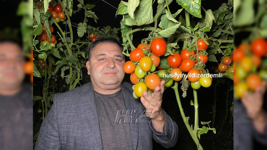 Yediğiniz Domatesler Kolay Yetişmiyor: Çiftçi Sabaha Kadar Don Nöbetinde