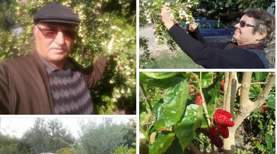 Vahdet Topçuoğlu Küresel İklim değişikliğine dikkat çekti