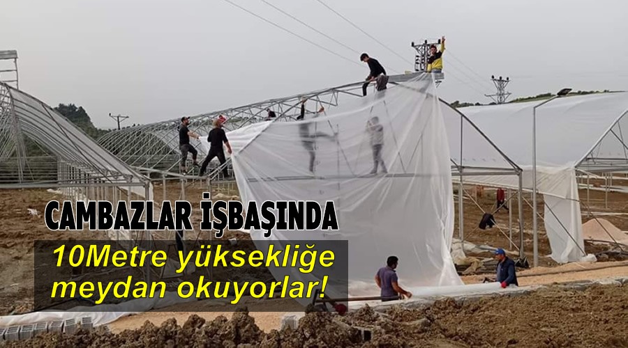 Cambazlar işbaşında