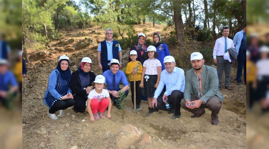 Bozyazı fidan dikti