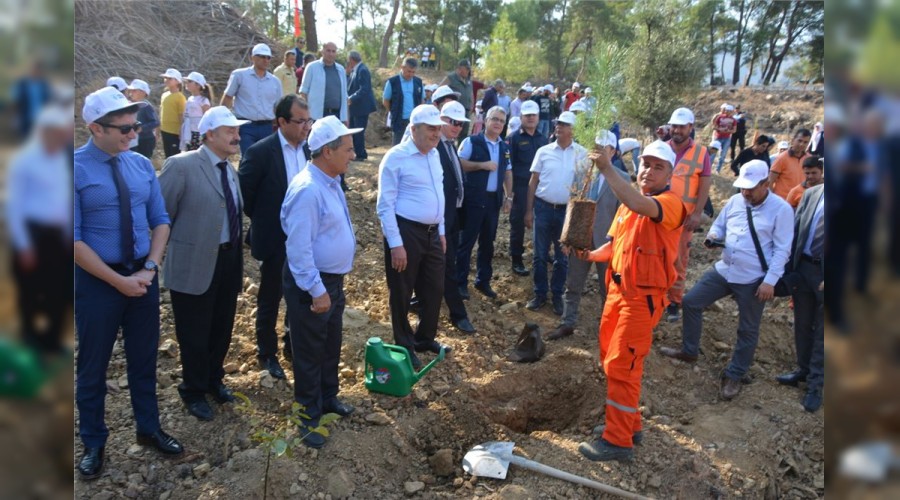 Bozyazı fidan dikti