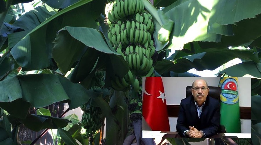 Bakan,Muz zerindeki speklasyonlara itibar etmeyin