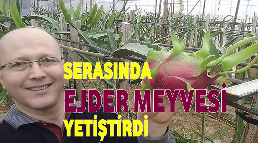 Bozyazı’da Ejder Meyvesi Yetiştirdi 