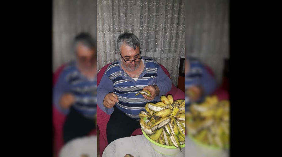 Çatlayan MUZları dikti