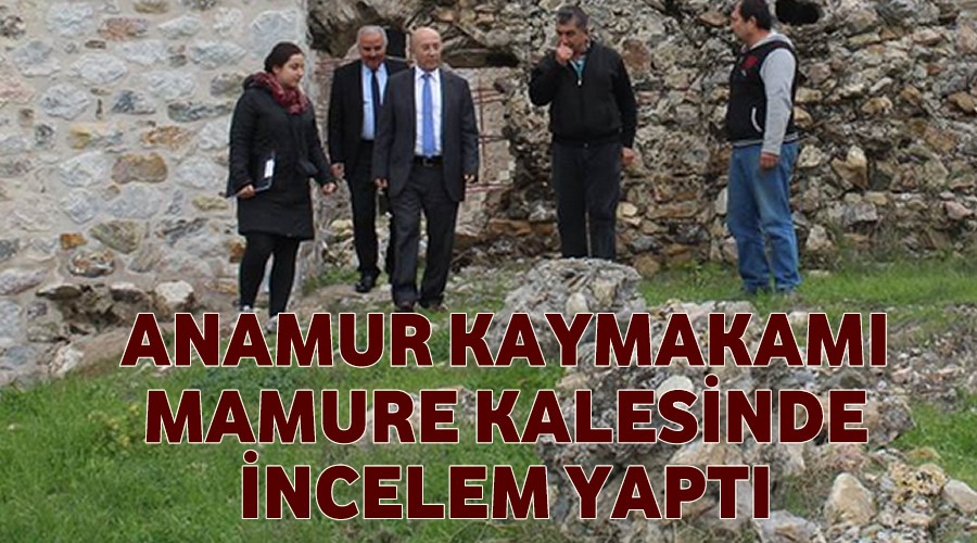 Kaymakam Mamure kalesinde inceleme yaptı
