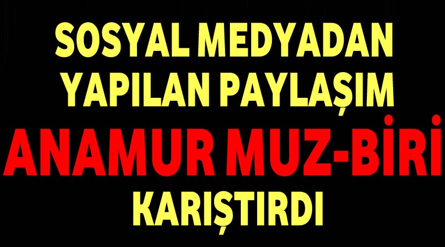 Paylaşım Anamur Muz-Biri karıştırdı