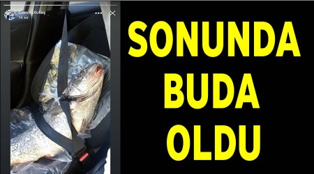Bozyazda sonunda buda oldu