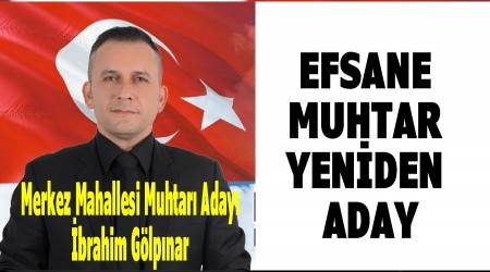 Efsane Muhtar Yeniden Aday