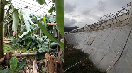 Hortum seraları yıktı