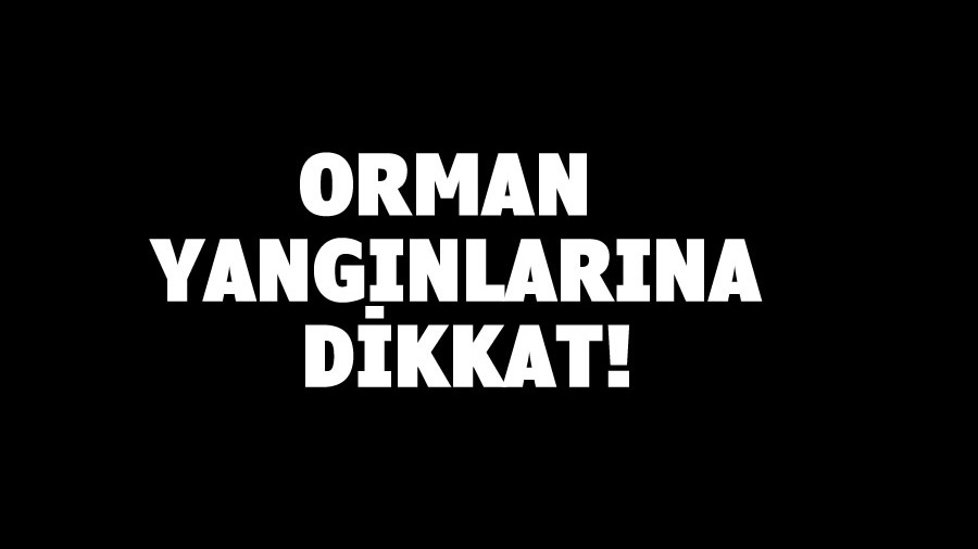 Orman Yangnlara Dikkat!...