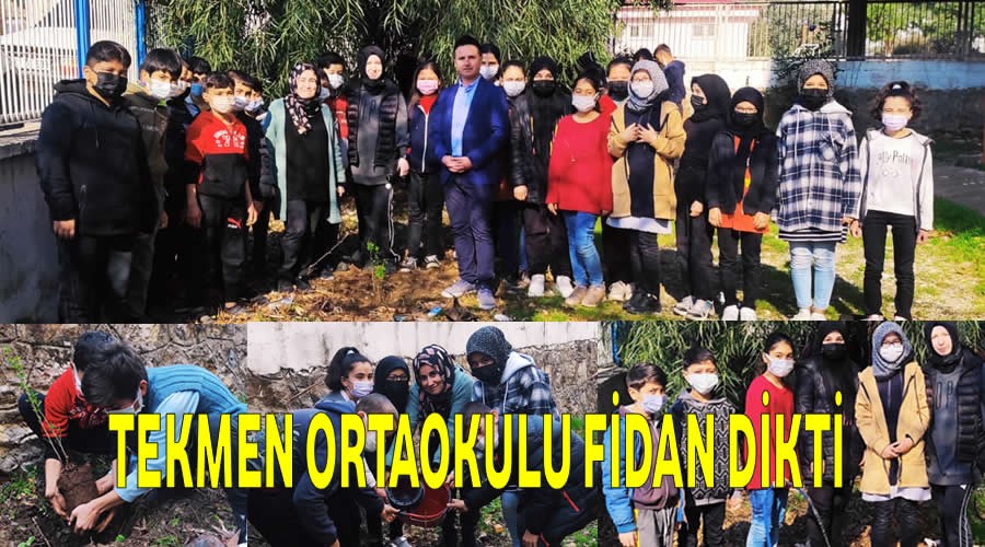 Tekmen Ortaokulu fidan dikti