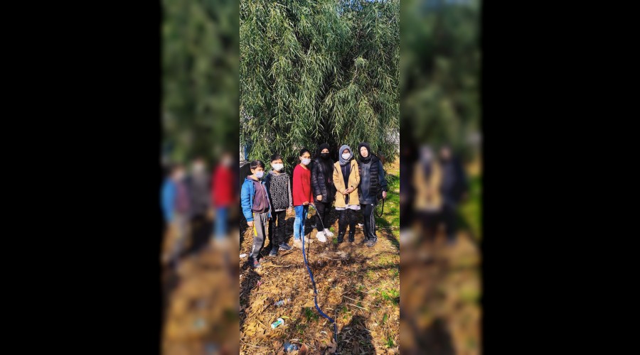Tekmen Ortaokulu fidan dikti