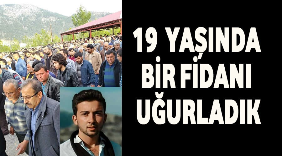 19 Yanda bir fidan uurladk