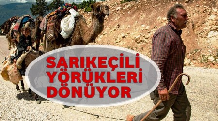 Sarkeili Yrkleri Dnyor
