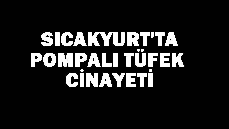 Scakyurtta Pompal Tfek Cinayeti