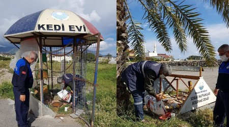 Sokak hayvanlarn besliyoruz