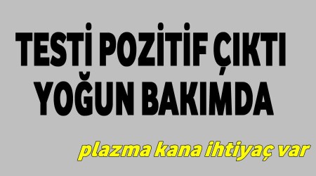 Belediye alann testi pozitif 