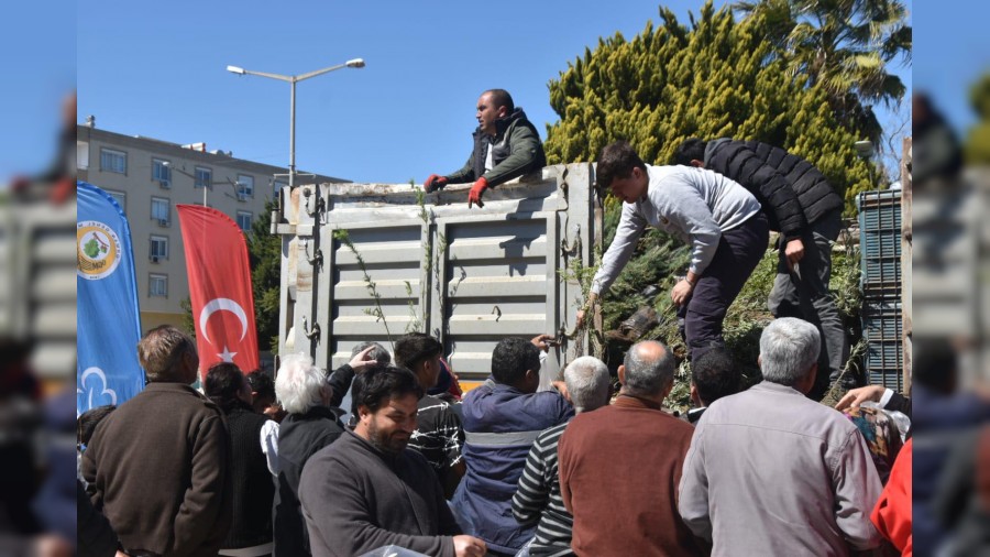 Bin adet fidan dağıtıldı