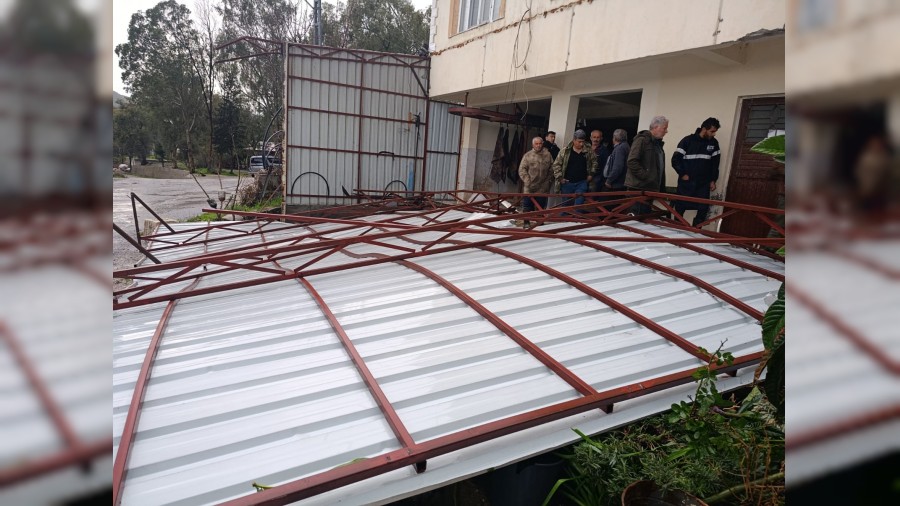 F�rt�na �at�y� f�rlatt�