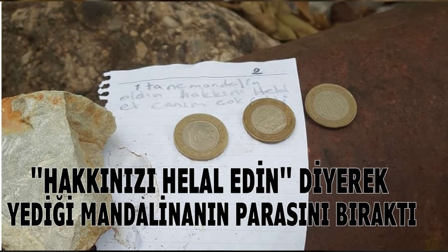 Hakknz helal edin diyerek Yedii mandalinann parasn brakt