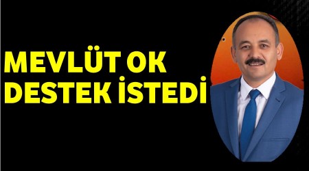 Mevlt Ok destek istedi
