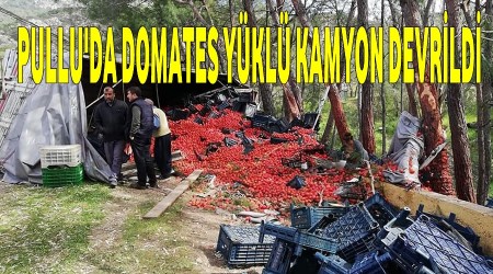 Pullu'da domates ykl kamyon devrildi