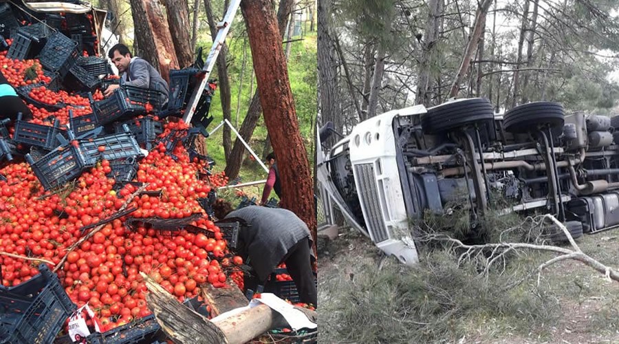 Pullu'da domates ykl kamyon devrildi