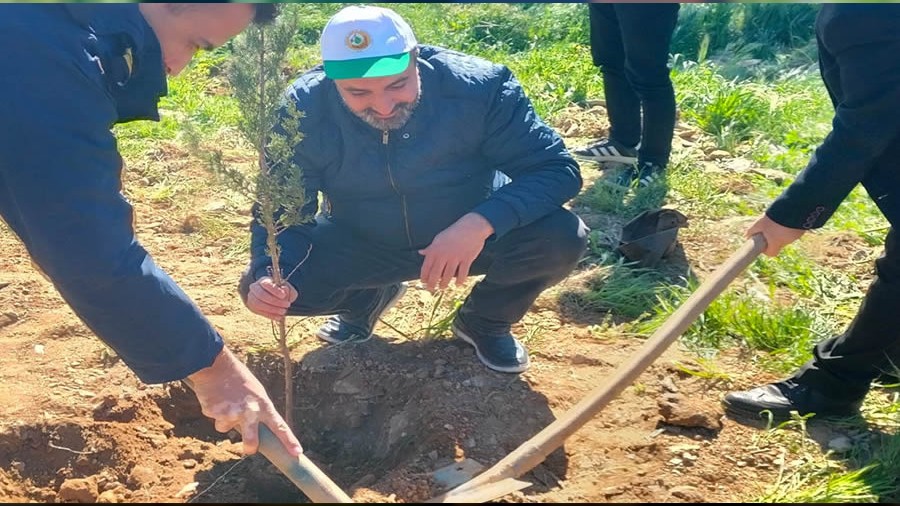 Mft fidan dikti