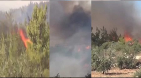 Silifke’de Orman yangını