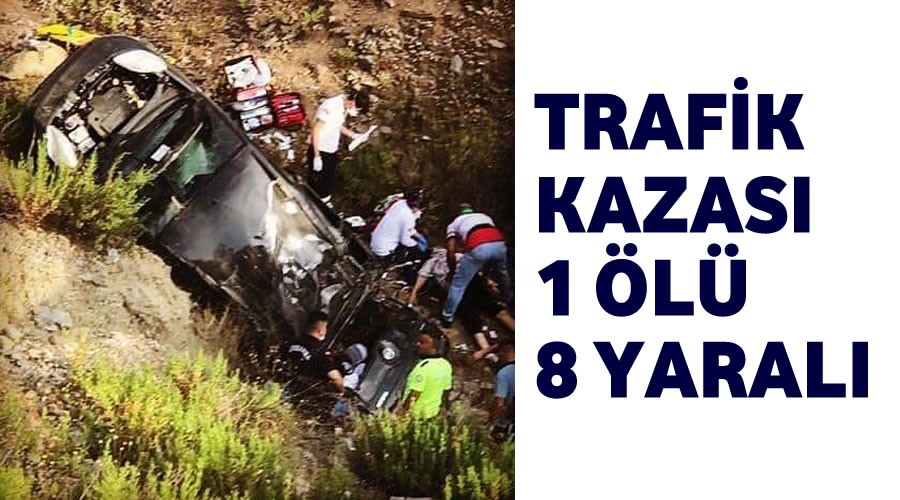 Trafik Kazas,Anne ld.Baba ve 7 ocuk yaraland