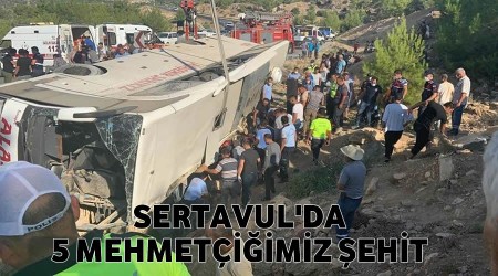 Valilik,Setavulda 5 Mehmetiimiz ehit oldu