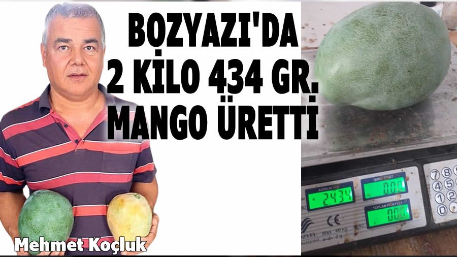 2Kilo 434Gr.Mango yetitirdi,rekora imza att