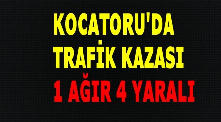 Kocatoruda trafik kazas