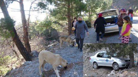Otomobil uçuruma yuvarlandı