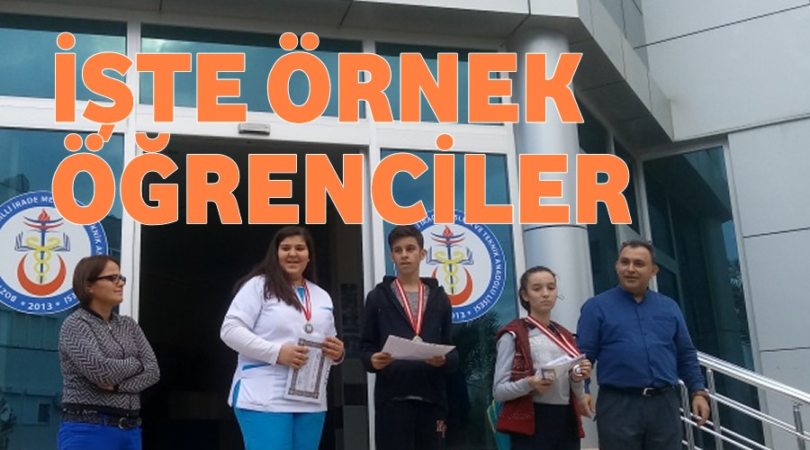 te rnek renciler
