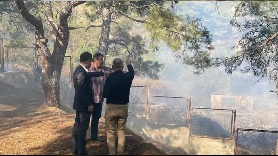 Son Dakika Pullu’da Yangın